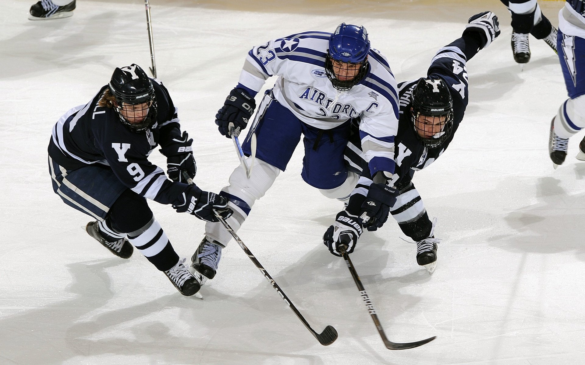 mk体育下载-公牛队展开疯狂反击，争夺季后赛名额，公牛队现状